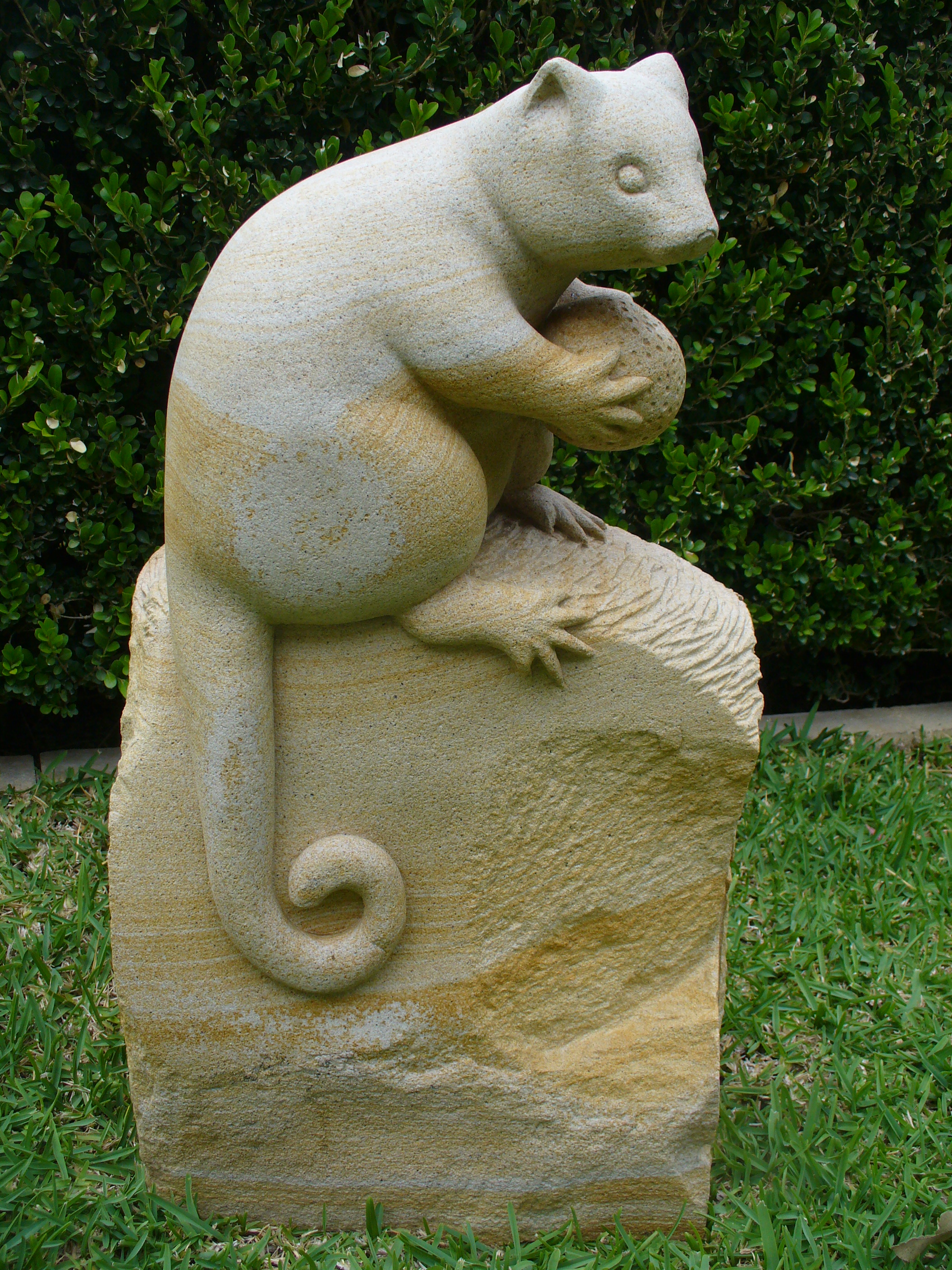 Possum 7